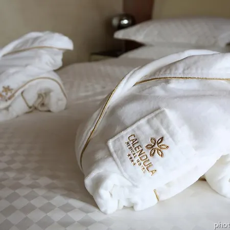 Calendula Ayurvedic & Medical Hotel