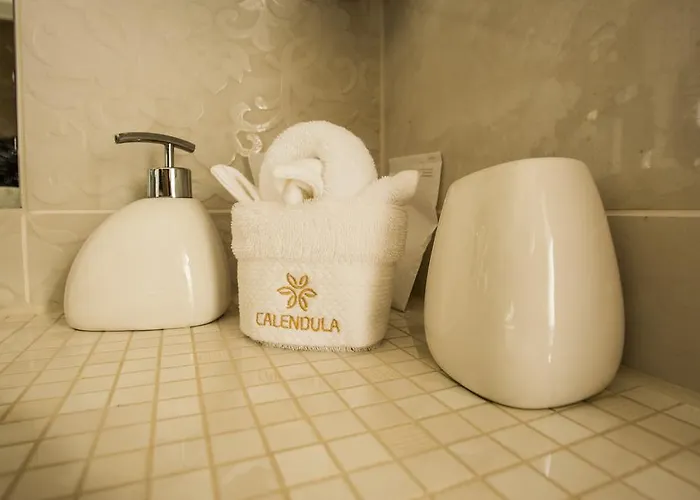 Calendula Ayurvedic & Medical 酒店 希欧福克