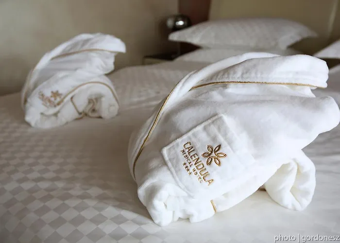 Calendula Ayurvedic & Medical Hotel