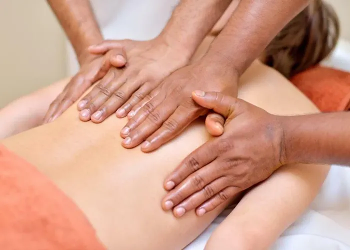 Calendula Ayurvedic & Medical 4*