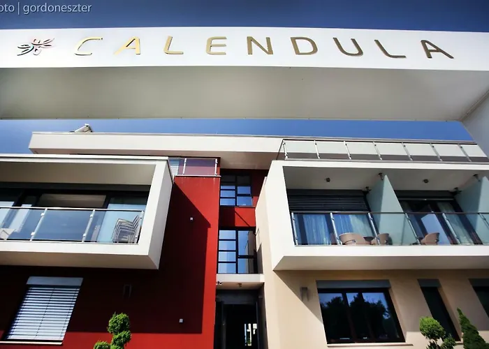 Calendula Ayurvedic & Medical Hotel 4*